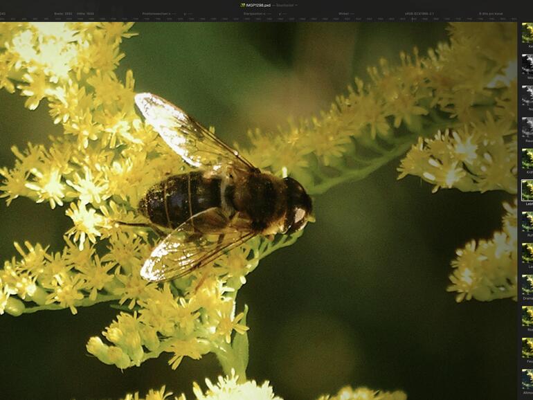 Die Vorschaubilder der Presets erleichtern die grobe Vorauswahl der passenden Einstellungen und können um eigene Versionen ergänzt werden.