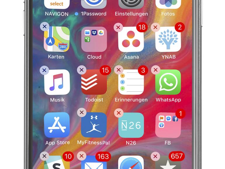 iPhone X Dashboard