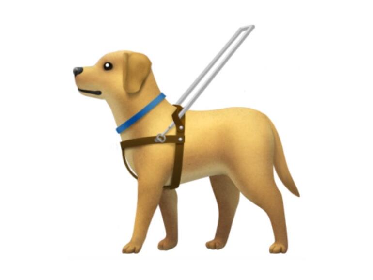 Auch ein Blindenhund ist mit dabei