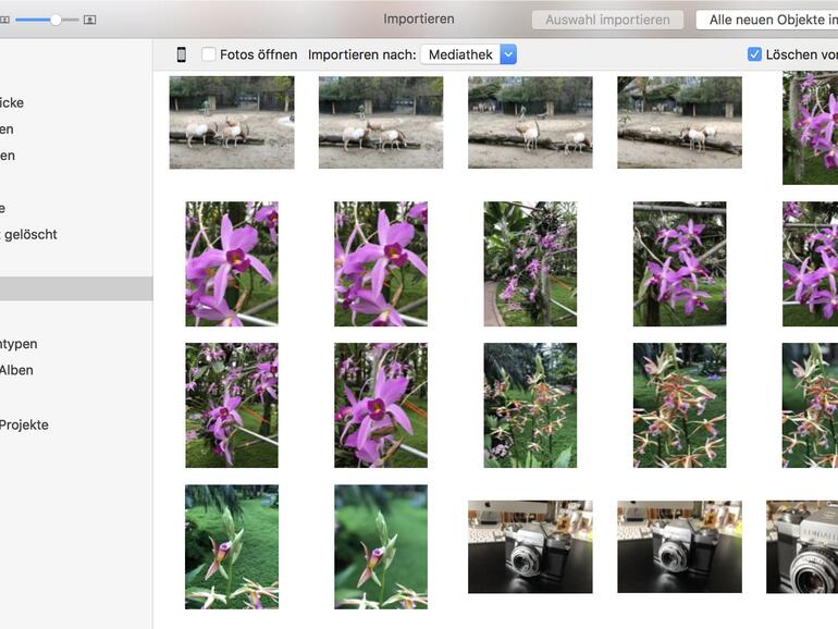 Über die Import-Funktion können Sie auswählen, wohin die Fotos kopiert werden und ob sie im Anschluss vom iPhone oder der Digitalkamera gelöscht werden sollen.