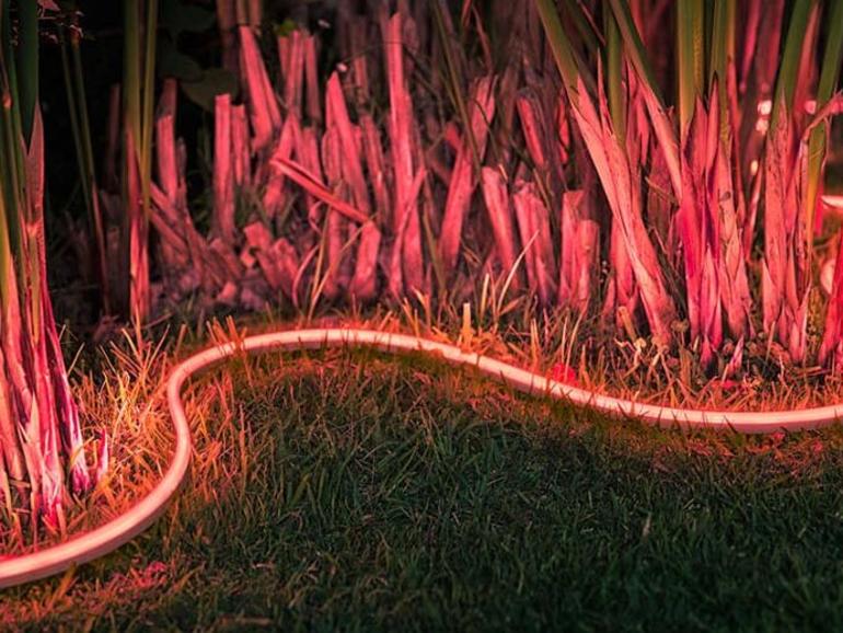 Philips Hue Lightstrip für den Garten Mac Life