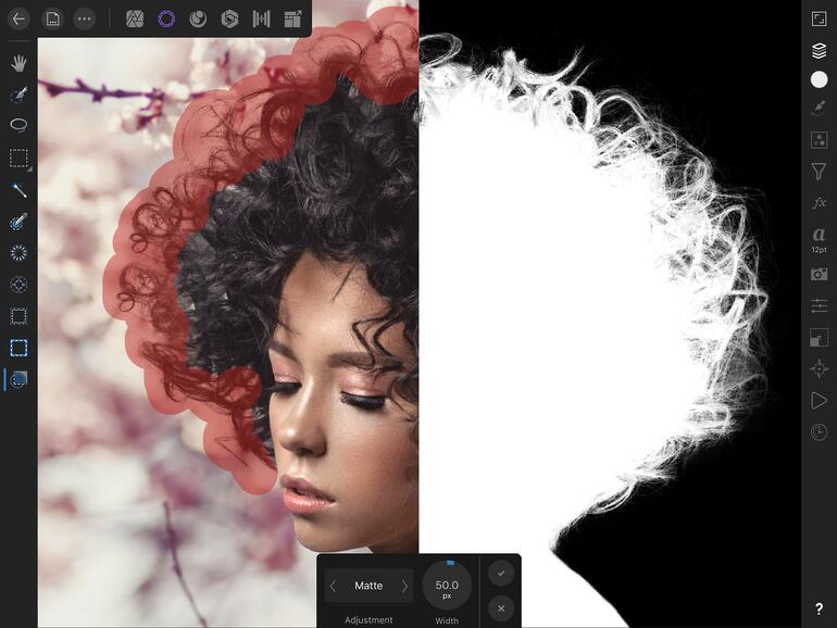 Immer „haarig“ ist die Auswahl von Haaren - eine Maske erleichtert den Job.