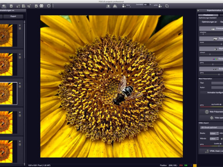 Focus projects professional