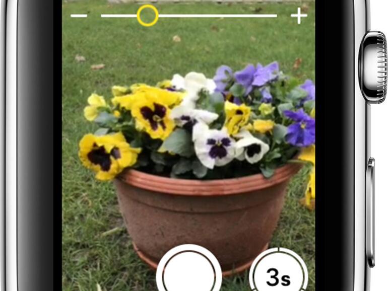 Wer seine Apple Watch mit in den Urlaub nimmt, hat mit dieser einen prima Fernauslöser für die iPhone-Kamera.