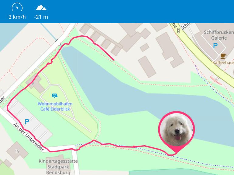 MIthilfe der Live-Tracking-Funktion können Sie den Aufenthalt Ihres Lieblings quasi in Echtzeit verfolgen.