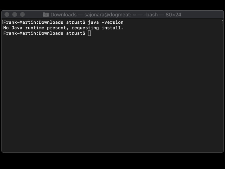 Abfragen der Java-Version über die Kommandozeile