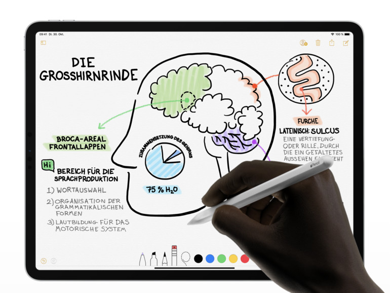 Apple Pencil 2: So passen Sie die Touch-Gesten an | Mac Life