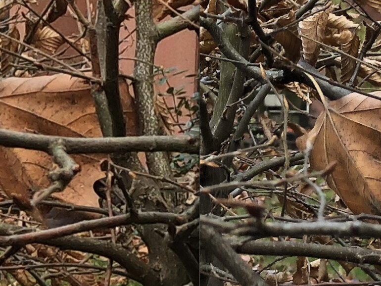 Bei 400-prozentiger Vergrößerung zeigen sich in puncto Schärfe Unterschiede zwischen der GoPro- (links) und der iPhone-XS-Aufnahme. Der Vergleich hinkt jedoch, da die Action-Cam selbst in der Grundeinstellung Szenen mit einem weiteren Winkel aufnimmt.