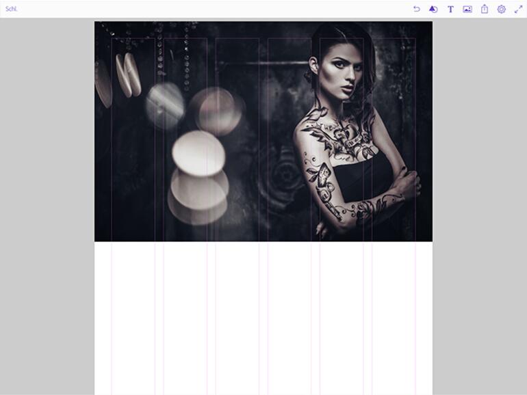 Eingefügte Bilder lassen sich skalieren und positionieren. Die Bilder docken automatisch an die gesetzten Hilfslinien an.