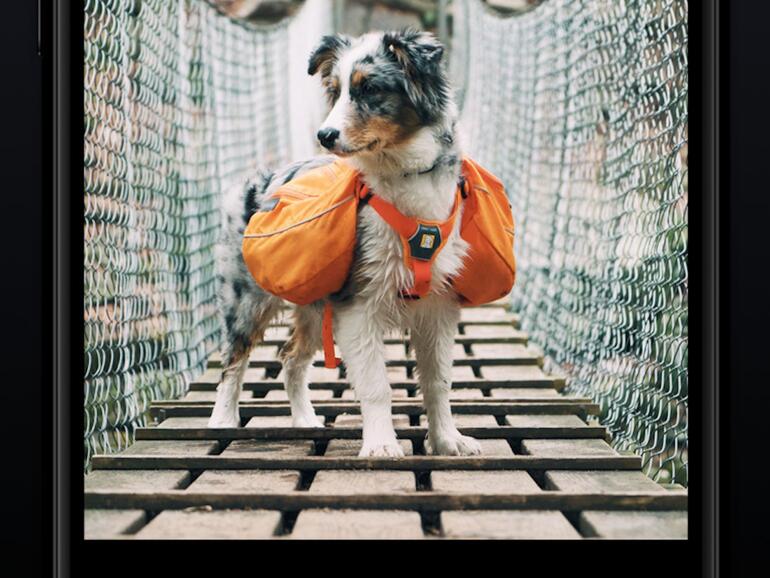 Sehr viele Medien von Imgur, Reddit, HTML5, GIF, Videos, Alben und mehr