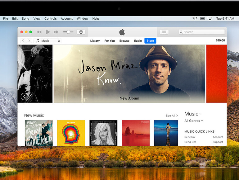 Wenn iTunes Widerworte beim iPhone-Wiederherstellen gibt