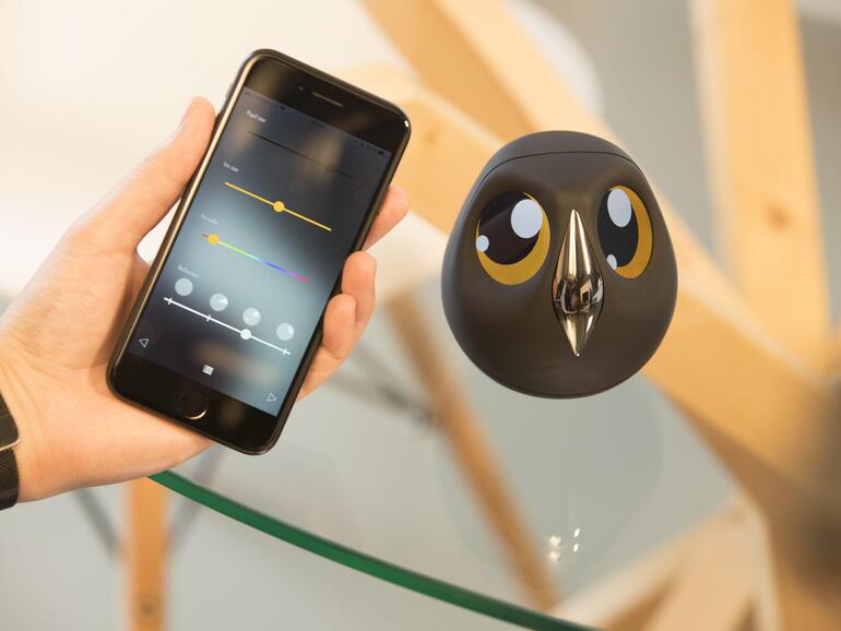 Ulo überwacht das Haus mit scharfen Eulenaugen.