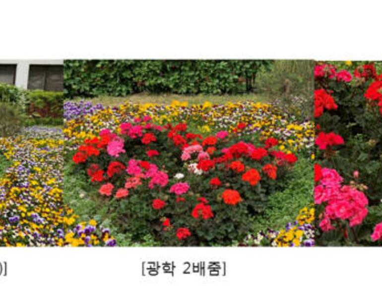 Beispielbilder mit dem 5fach-Zoom