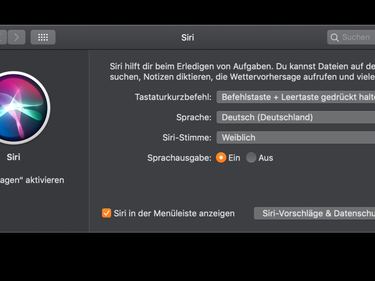 Auch am Mac wirkt sich das Ausschalten des Sprachfeedbacks positiv auf die Antwortzeit aus