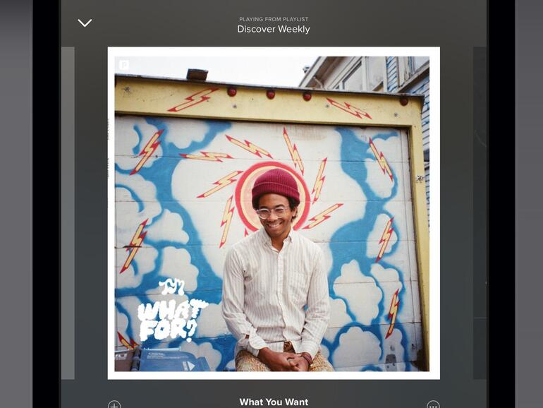 Die großen Dienste funktionieren auf allen relevanten Geräten: egal, ob Mac, iPhone oder iPad.