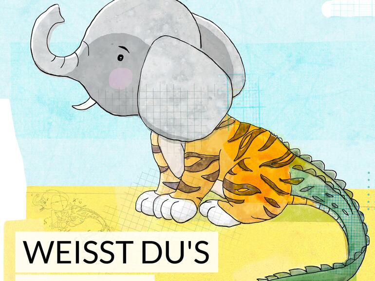 Weißt du‘s schon?