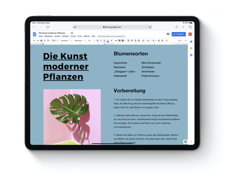 startseite bei safari ipad einrichten