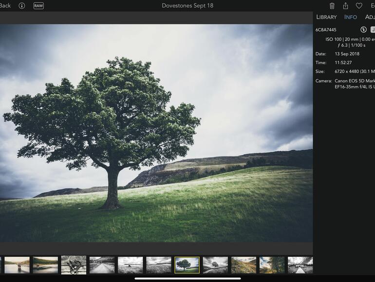 Alle wichtigen Metadaten eines Fotos sind übersichtlich auf der rechten Seite zu sehen.