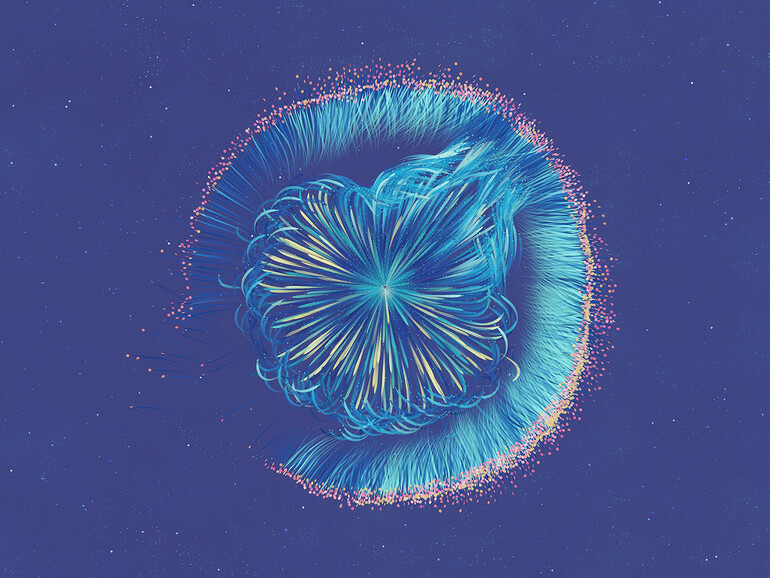 Zu entdecken gibt es bei Lifelike eine Welt voller schöner, rätselhafter und manchmal seltsamer Arten und Kreaturen.