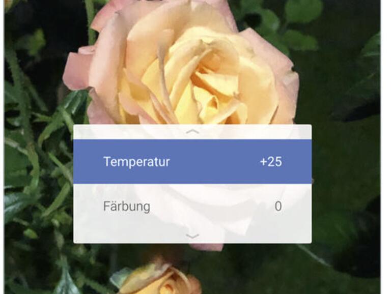 In der zweiten Test-Disziplin im Vergleich: Die Werkzeuge.