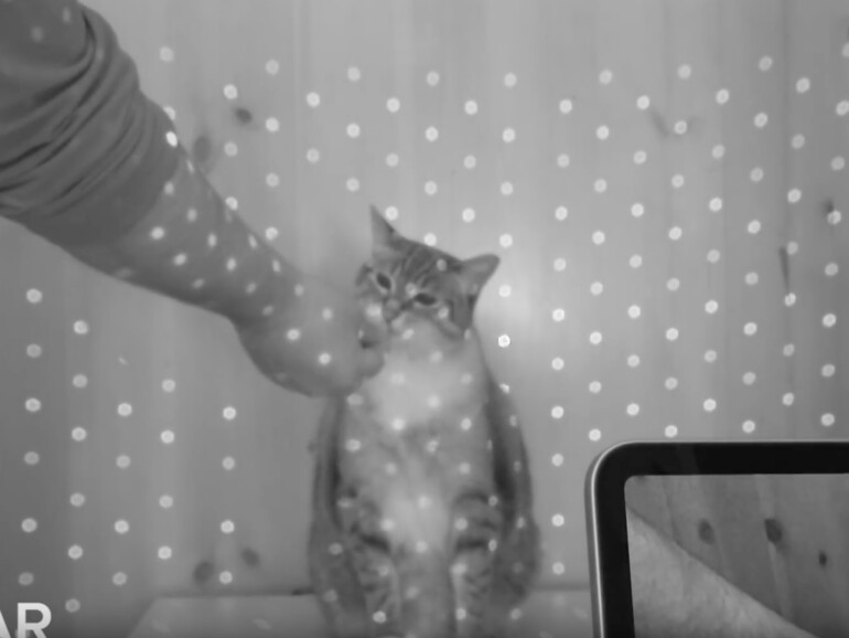 Das Projektionsmuster des LiDAR