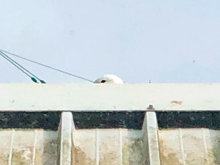 Brutzeit vor dem Podcast-Studio