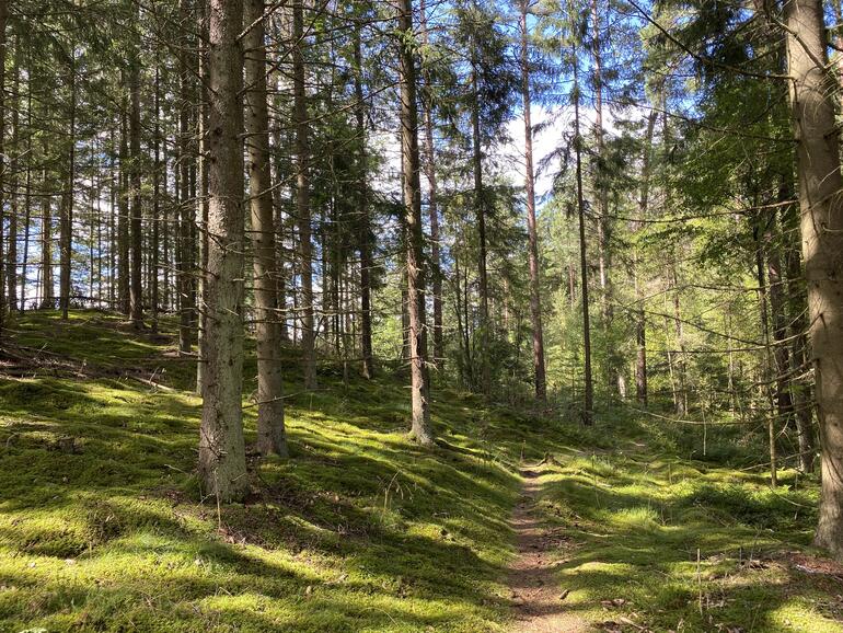 Eine ausgiebige Wander-Tour eignet sich hervorragend, um sich daran zu erinnern, dass einem das iPhone dabei hilft, großartige Fotos zu machen.