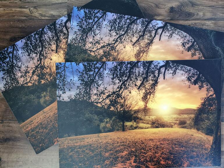 Auf Forex-Platten können Sie Ihre Lieblingsfotos kostengünstig als XXL-Wandbilder drucken lassen.