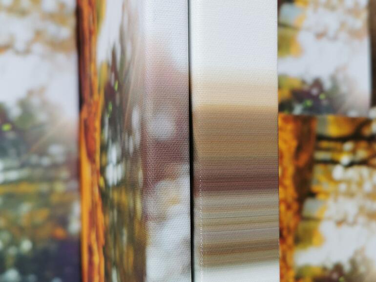 Deutlich zu sehen: Meinfoto (rechts) schickt eine Fotoleinwand mit extradickem Rahmen ins Rennen. Dieser bietet insbesondere bei größeren Leinwandformaten einen Stabilitätsvorteil.