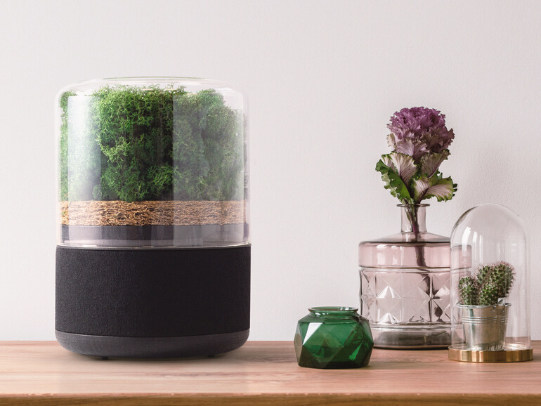 Briiv Air - ein kleines Biotop.