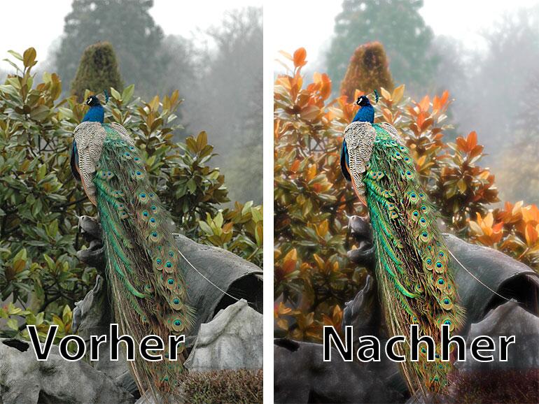 Vorher-Nachher-Vergleich eines Fotos, das mit Pixelmator bearbeitet wurde. 