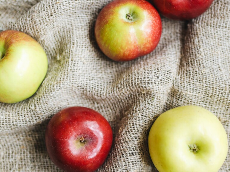 Was wird wohl unter dem Apfelbaum als nächstes liegen?