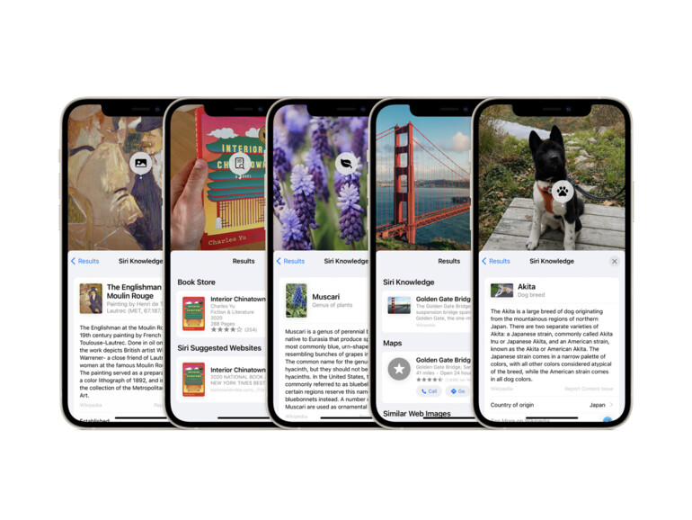 In iOS 15 kannst du Motive visuell nachschlagen