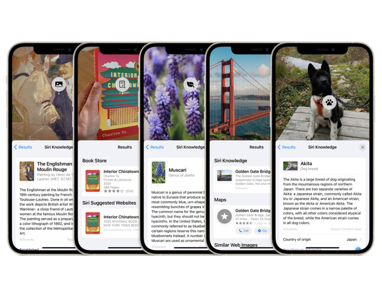 Visuelles Nachschlagen in iOS 15
