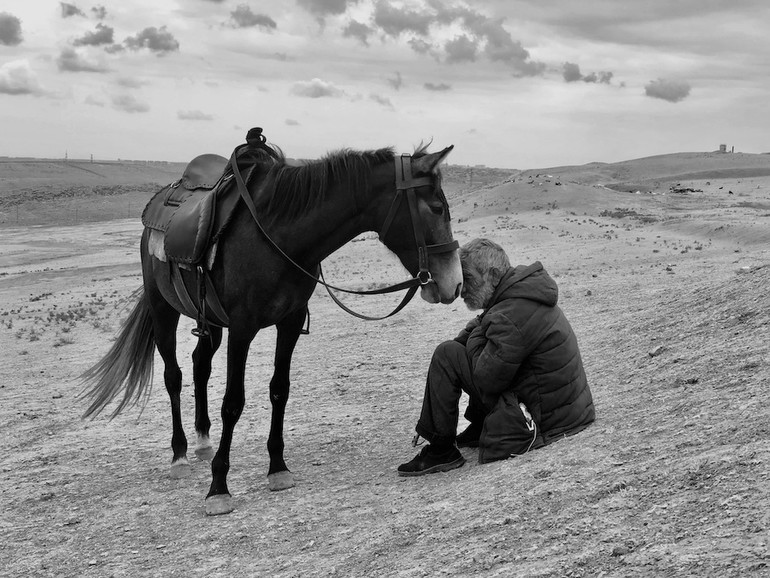 Der erste Platz der Kategorie 'Photographers of the Year‘ geht an Sharan Shetty aus Indien für sein Bild &amp;quot;Bonding&amp;quot;, Shot on iPhone X, auf dem ein Mann und sein Pferd in einer leeren Landschaft zusammenkommen und sich gegenseitig Trost spenden.