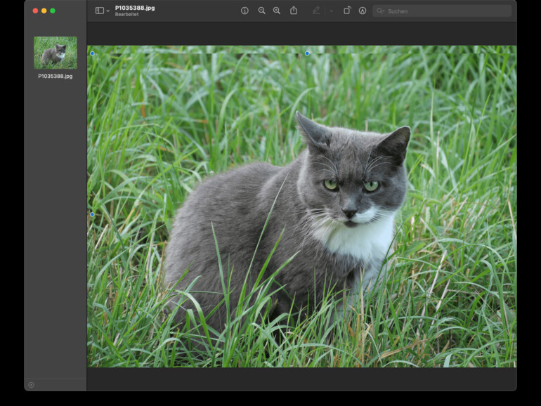 Hier ist das Objekt über dem Foto zu sehen