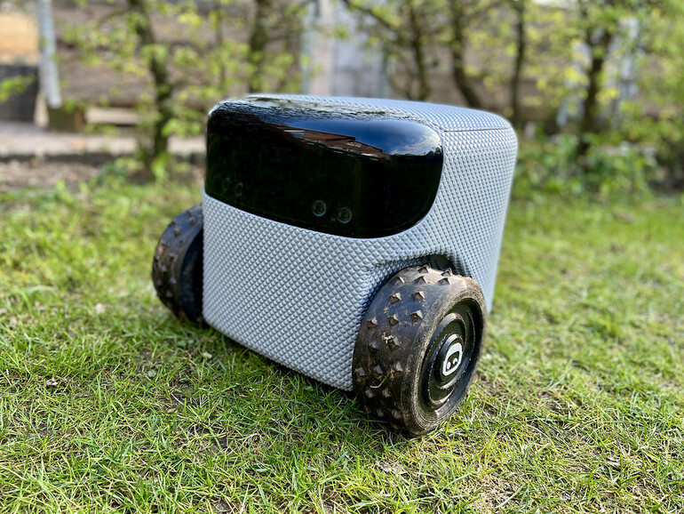 Der neue Star in deinem Garten? Eeve Willow bei der Arbeit