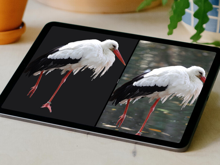 Freigestelltes Fotos in iPadOS 16