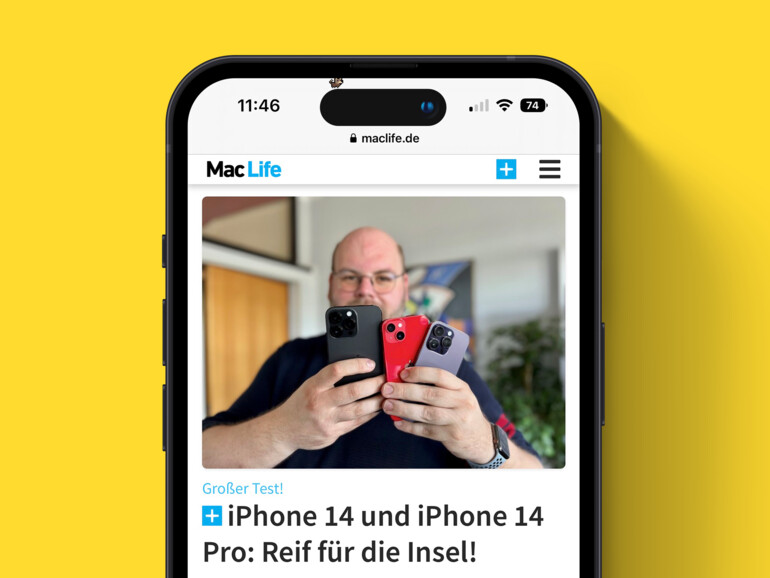 Die Pixel Pals laufen über das Dynamic Island
