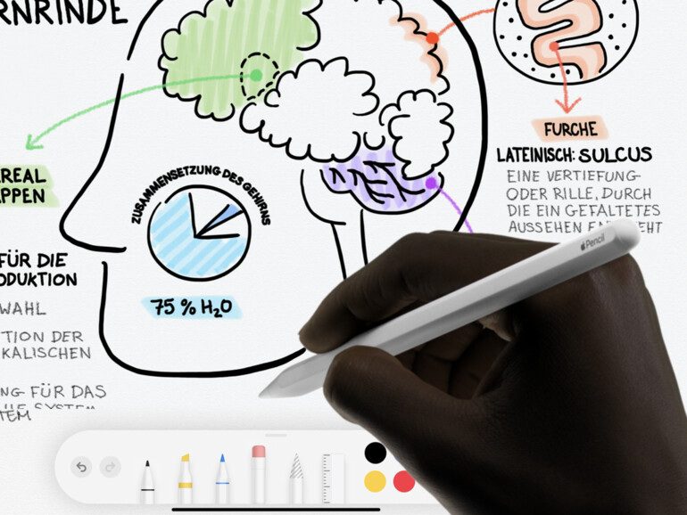 Apple plante einen kleineren Apple Pencil für das iPhone 14