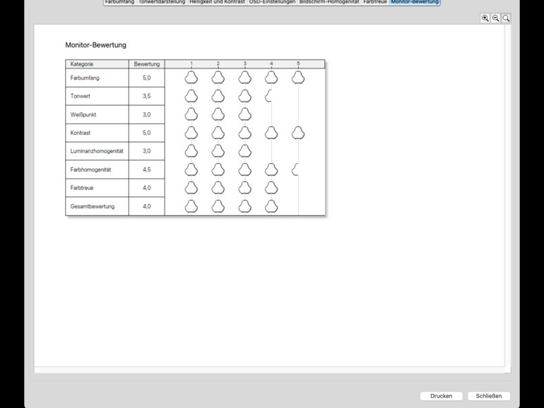 Die Seite für das Gesamtergebnis ist etwas nüchtern geraten, gibt dafür aber auf einen Blick akkurat Auskunft darüber, wie die Spyder-Software deinen Bildschirm beurteilt.