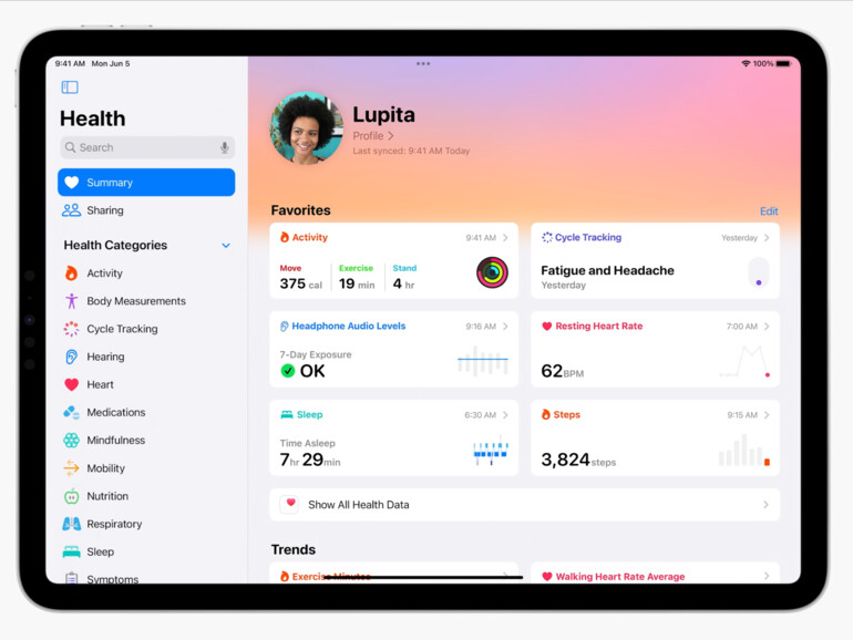 So sieht die Health-App auf dem iPad aus