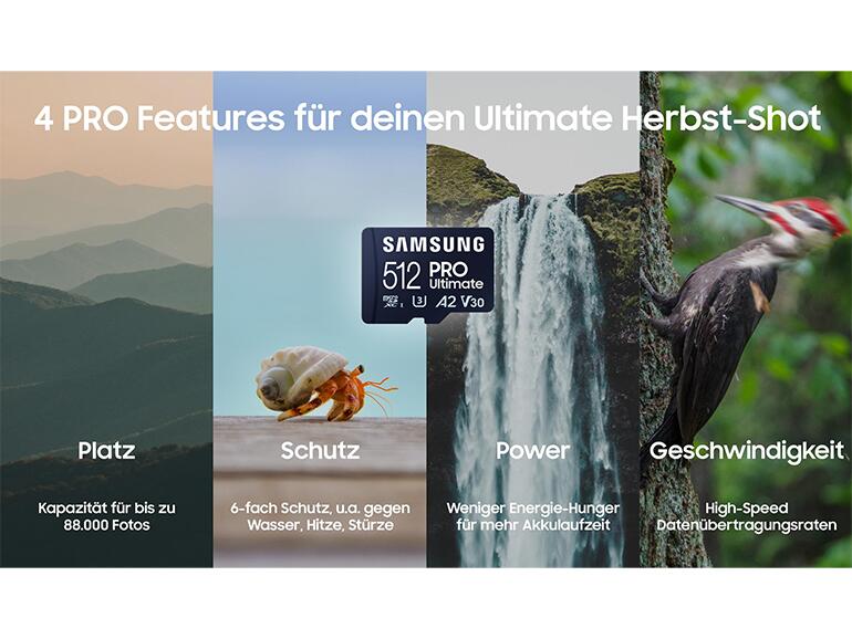 Mit der microSD PRO Ultimate von Samsung sind Sie optimal vorbereitet für den Foto-Herbst.