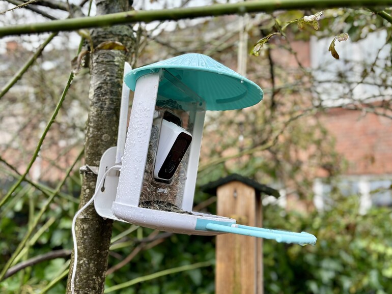 Der Vogelfutterspender Netvue Birdfy ist gleichzeitig eine Überwachungsstation.