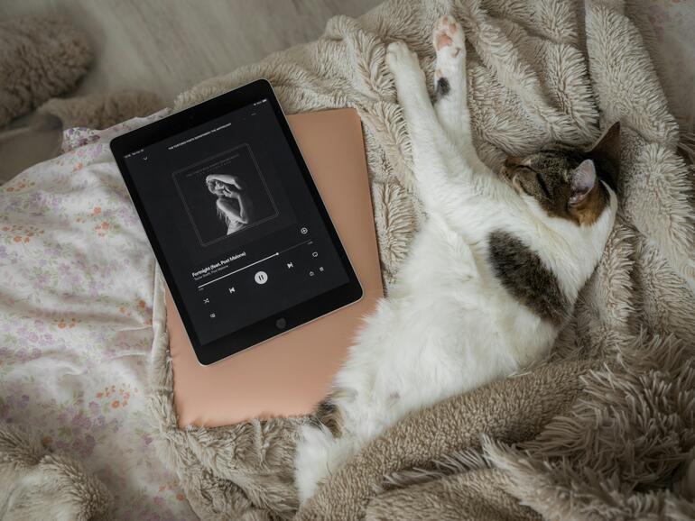 Studie: iPads tun, was sie sollen, und das für eine lange Zeit.