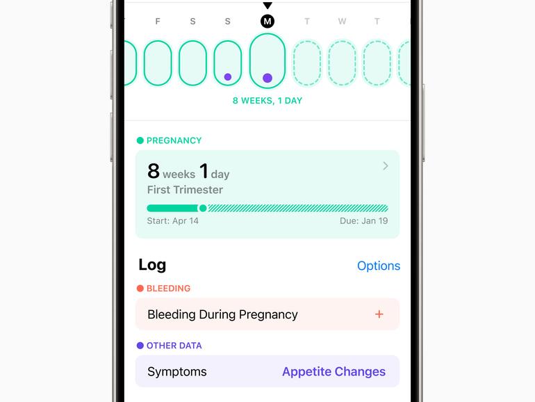 Health-App: Daten während einer Schwangerschaft