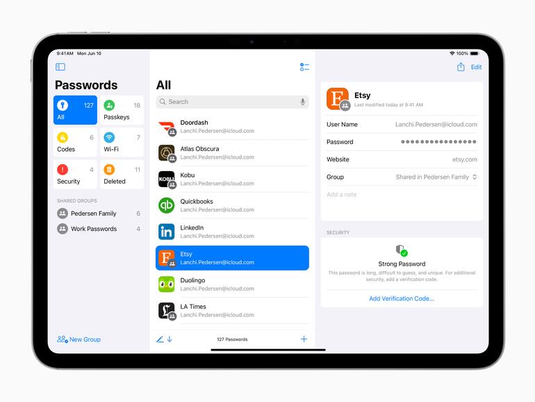 Passwort-App in iPadOS 18