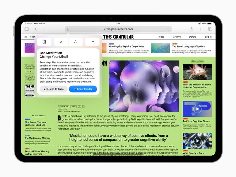 Safari kann den Inhalt einer Webseite zusammenfassen