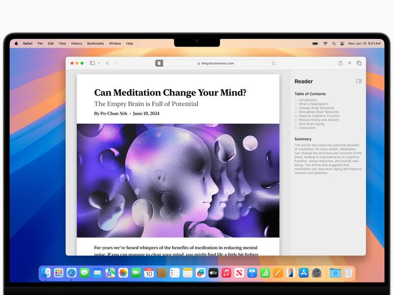 Reader in Safari fasst den Inhalt der Seite zusammen