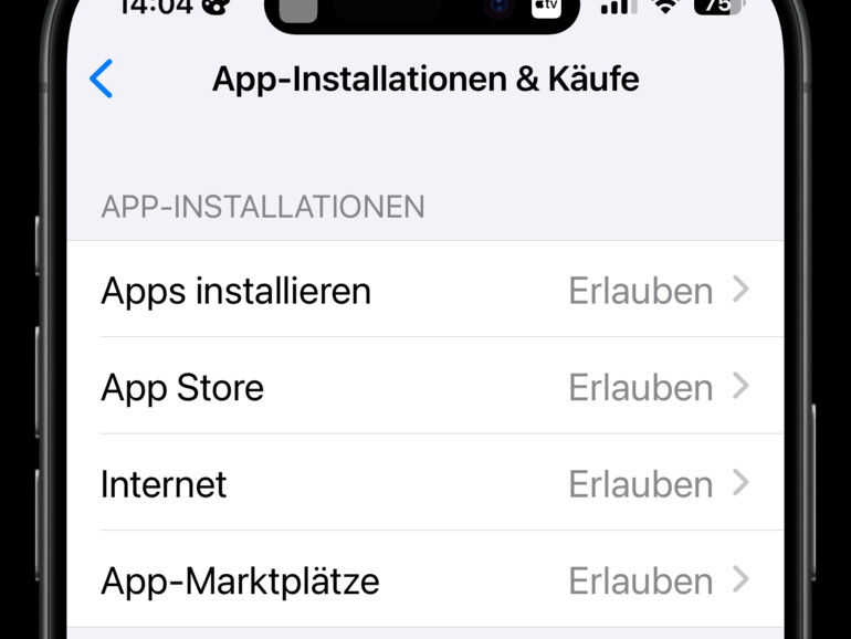 Um App-Markplätze nutzen zu können, musst du das in den Einstellungen von iOS erlauben.